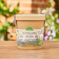 Die Stadtgärtner Die Stadtgärtner Blümchen aus dem Becher I Ostergeschenk für Kinder, Mama, Papa, Erwachsene I Geschenk für den Frühling – Produktbild 1 von 1