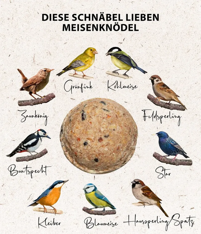 Dehner Natura Große Meisenknödel, ohne Netz, 30 Stück je 90 Gramm (2.7 kg), Hauptfutter für: Gartenvögel, Wildvogel, im Karton, hochwertiges Wildvogelfutter zur ganzjährigen Fütterung – Produktbild 5 von 5