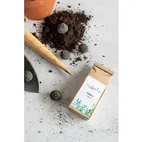 little bee fresh little bee fresh 7 St. Seedballs – wilde Kräuter – Produktbild 1 von 1