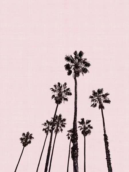 Photocircle Photocircle Poster / Leinwandbild - Palm Trees in Pink – Produktbild 1 von 4