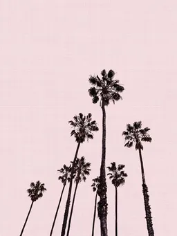 Photocircle Photocircle Poster / Leinwandbild - Palm Trees in Pink – Produktbild 1 von 1