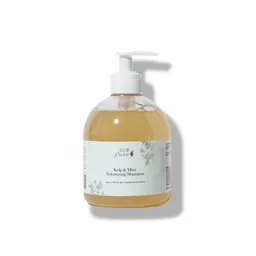 100% PURE® - Purity Cosmetics Kelp & Mint Volumizing Shampoo 474 ml – Produktbild 1 von 1