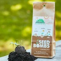 Die Stadtgärtner Die Stadtgärtner Seedbombs Sonnenblumen I 5 Samenbomben mit verschiedenen Sonnenblumen – Produktbild 1 von 1
