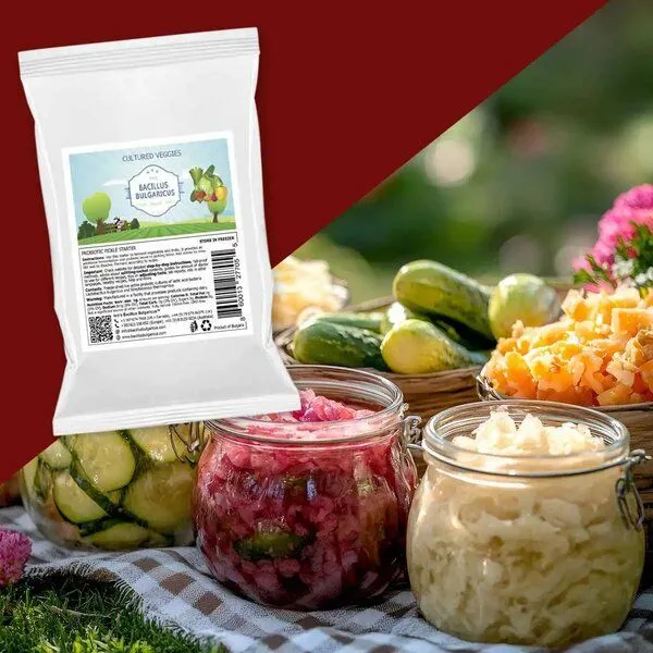 Bacillus Bulgaricus Bacillus Bulgaricus Cultured Veggies – Fermentations-Starter für Gemüse (2er Pack) – Produktbild 4 von 4