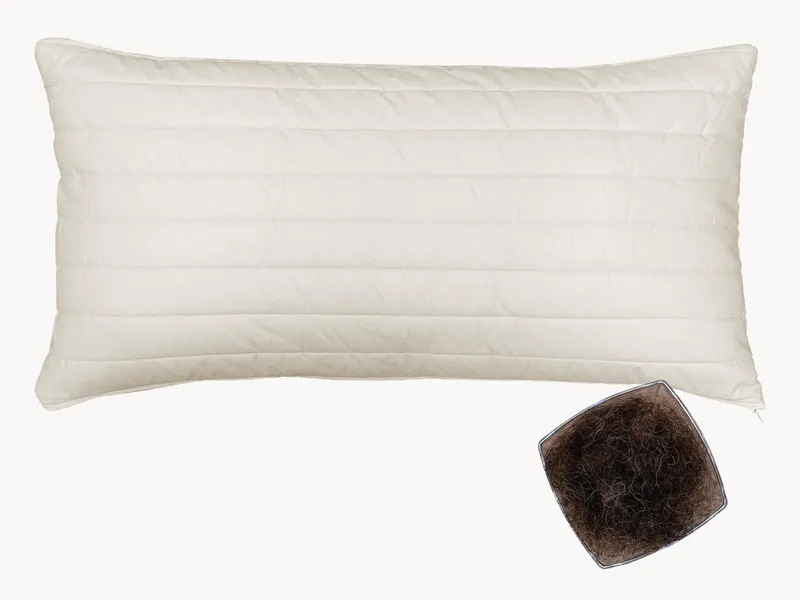 allnatura allnatura Rosshaar-Kopfkissen "Cavallo" - Schnäppchen 2092-07274 | 50x70 cm – Produktbild 1 von 2