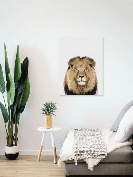 Photocircle Photocircle Poster / Leinwandbild - Lion – Produktbild 4 von 4