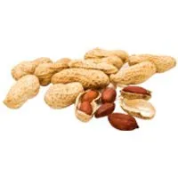 Ã gypten Erdnüsse mit Schale, geröstet – Produktbild 1 von 1