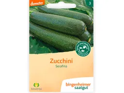 Bingenheimer Saatgut Zucchini Serafina – Produktbild 1 von 1