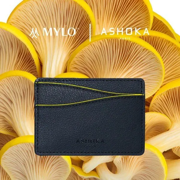 Ashoka Paris Ashoka Paris Kartenetui aus Pilzleder Mylo Gelb – Produktbild 1 von 4