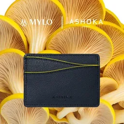 Ashoka Paris Ashoka Paris Kartenetui aus Pilzleder Mylo Gelb – Produktbild 1 von 1