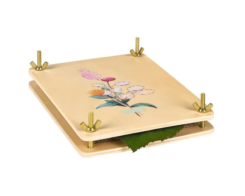 Moses Verlag Moses Verlag Lernspielzeug Blatt- & Blütenpresse aus Holz zum Trocknen & Basteln – Produktbild 1 von 2