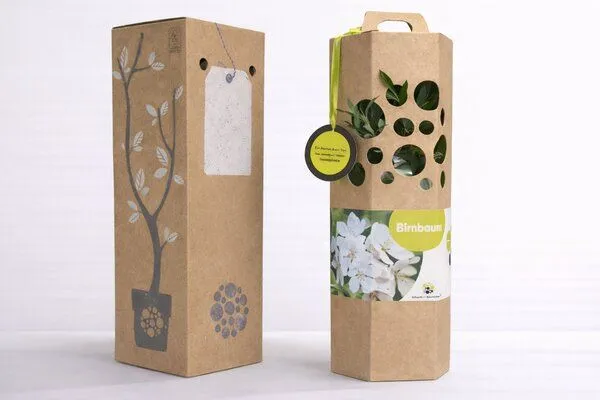 SchenkeinBäumchen SchenkeinBäumchen Birnbaum – Produktbild 4 von 4