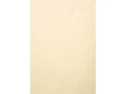 Exacompta 100 Exacompta Eindbanddeckel "Forever", 270 g/m², DIN A3, elfenbein – Produktbild 1 von 1