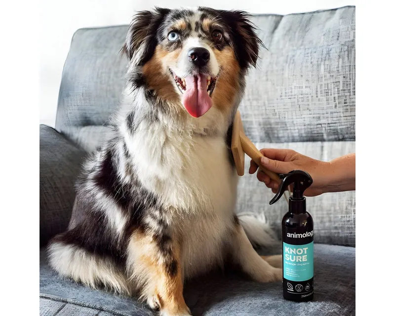 Animology Fellpflege Hundespray Knot Sure De-Tangle Dog Spray 250 ml – Produktbild 2 von 2