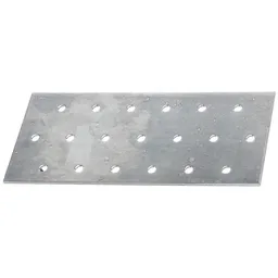 Alberts ALBERTS Lochplatte, sendzimirverzinkt, LxB 140x60 mm – Produktbild 1 von 1