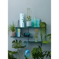 Hausen Hausen Wandregal SHRINK shelf forest, Grün (ral 6005), – Produktbild 1 von 1