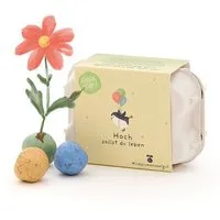 Die Stadtgärtner Die Stadtgärtner 6 bunte Saatkugeln mit Wildblumensaatgut im Mini-Eierkarton | Nachhaltige Geschenkidee zum Geburtstag oder Jubiläum – Produktbild 1 von 1