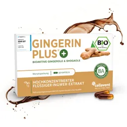 Cellavent Healthcare Bioaktiver Ingwer-Extrakt - Gingerin PLUS 1 Monat – Produktbild 1 von 1