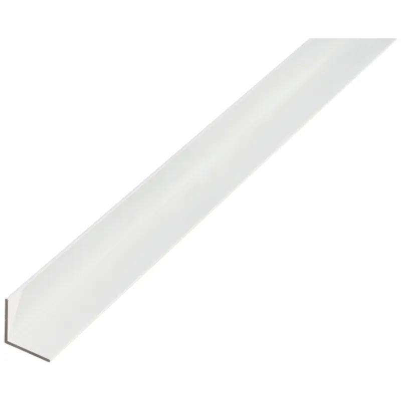 Alberts ALBERTS Winkelprofil, gleichsch., Alu silber elox., LxBxHxS 1000 x 15 x 15 x 1 mm – Produktbild 1 von 1