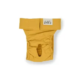 Lills Lills Läufigkeitshöschen "Lou" Stone Grey orange/ gelb S – Produktbild 1 von 1