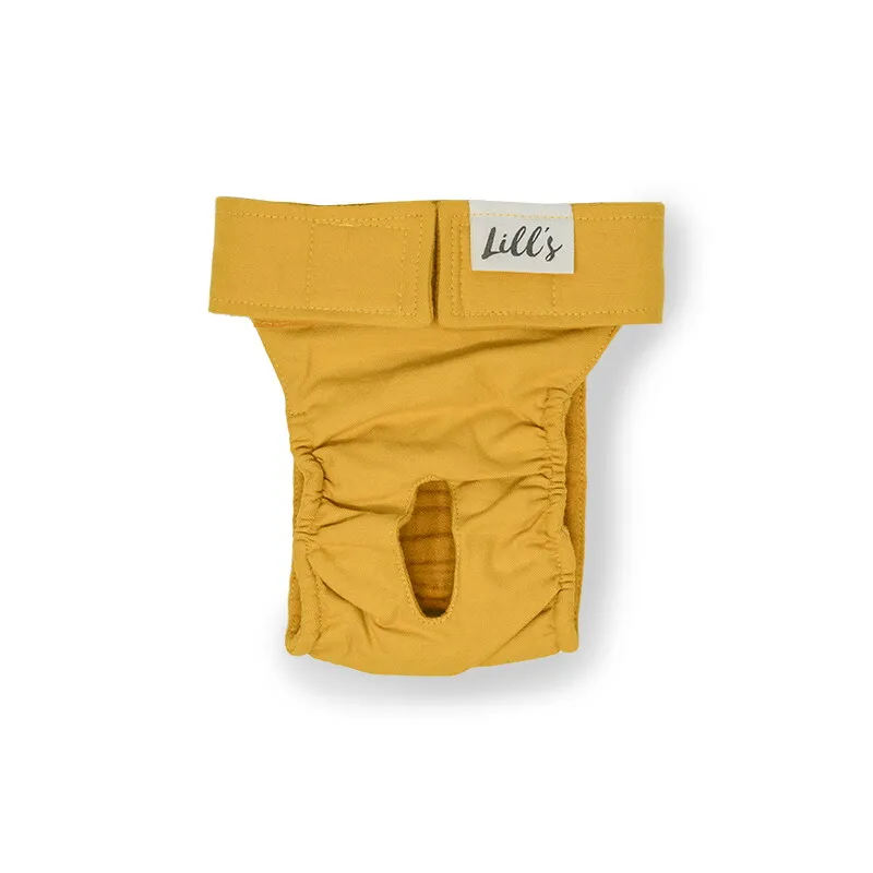 Lills Lills Läufigkeitshöschen "Lou" Stone Grey orange/ gelb S-M – Produktbild 1 von 2