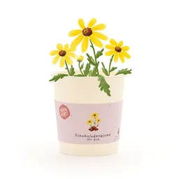 Die Stadtgärtner Die Stadtgärtner Schokoblumen-Anzuchtset als besonderes Geschenk | Nachhaltige Geschenkidee zum Geburtstags, für Erzieher, als Mitbringsel für Naschkatzen – Produktbild 1 von 1