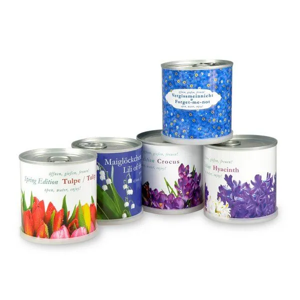 MacFlowers MacFlowers Blumen in der Dose Vergissmeinnicht – Produktbild 3 von 4