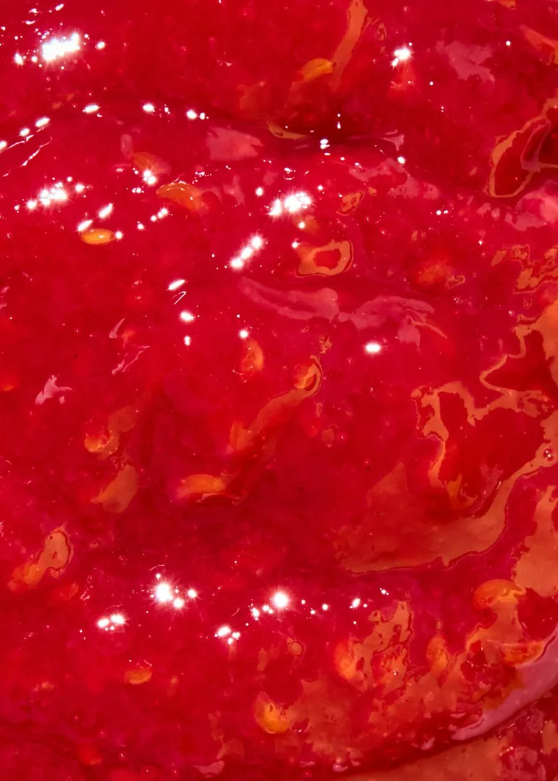 KoRo Bio Fruchtaufstrich Himbeere 460 g – Produktbild 2 von 5