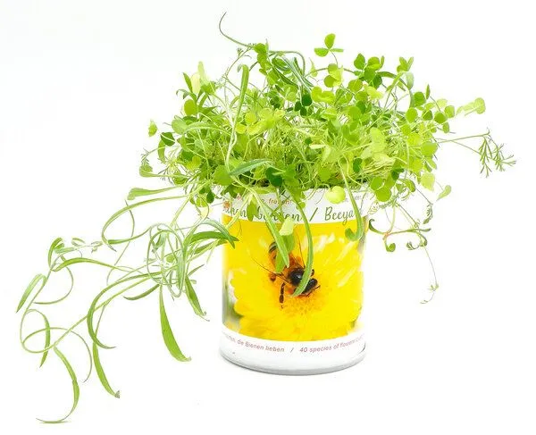 MacFlowers MacFlowers Bienengarten mit 40 verschiedene Blumensorten für Bienen und Insekten – Produktbild 2 von 4