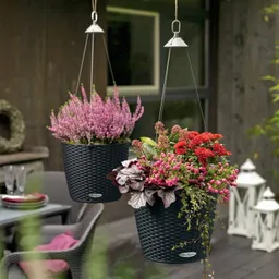 Lechuza® Lechuza® 'Nido Cottage 28', graphitschwarz, ca. Ø 27 x H 23 cm – Produktbild 1 von 1