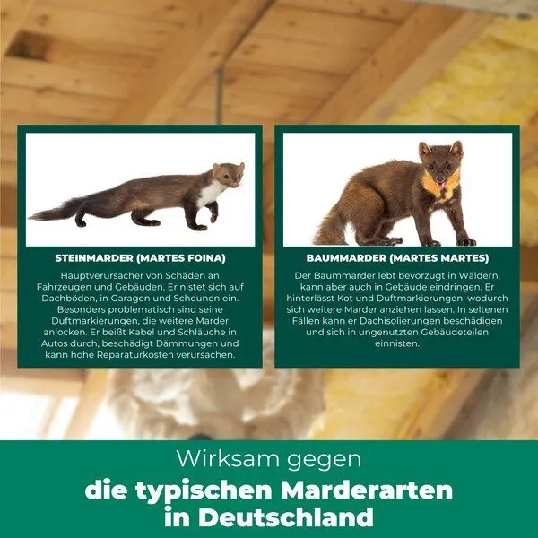 Silberkraft Silberkraft Marder-Stopp Spray: Hochwirksamer Marderschutz für dein Auto und Zuhause – Produktbild 4 von 4
