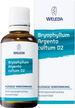 Weleda WELEDA BRYOPHYLLUM ARGENTO cultum D 2 Dilution 50 ml Dilution – Produktbild 1 von 1