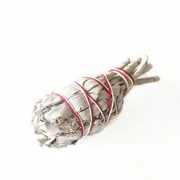 Crystal and Sage Crystal and Sage Weißer Salbei Smudge Stick – Produktbild 1 von 1