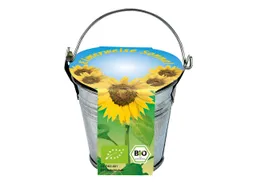 Bio-Mini-Pflanzset "Eimerchen", Sonnenblume – Produktbild 1 von 1