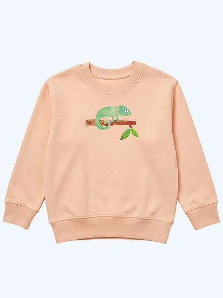 MelaDi Meladi Kinder Sweater aus Biobaumwolle - Chamäleon auf Creme Latte, Natural white, – Produktbild 7 von 7