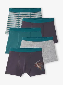 Vertbaudet Vertbaudet 5er-Pack Boxershorts Jungen – Produktbild 1 von 1