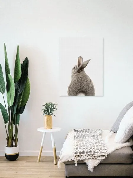Photocircle Photocircle Poster / Leinwandbild - Rabbit Tail – Produktbild 4 von 4