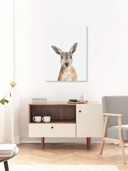 Photocircle Photocircle Poster / Leinwandbild - Kangaroo – Produktbild 3 von 4
