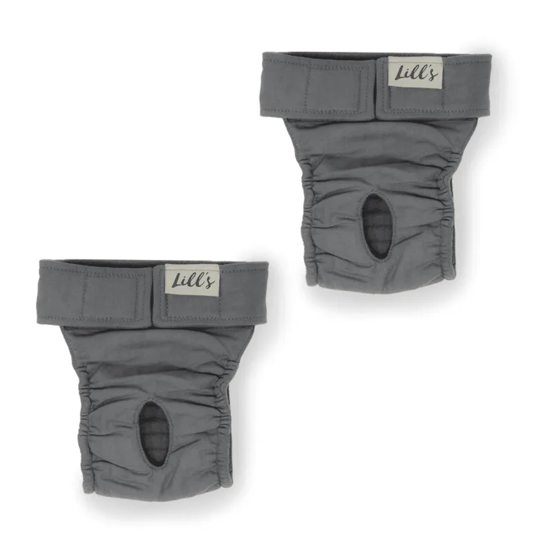 Lills Lills 2er Pack Läufigkeitshöschen aus Bio-Baumwolle "Lou" grau S – Produktbild 1 von 2