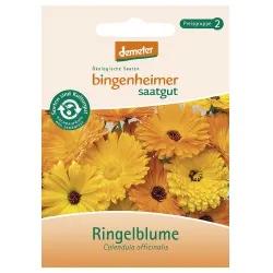Bingenheimer Saatgut Ringelblume – Produktbild 1 von 1