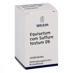 Weleda Equisetum Cum Sulf. Tost. D6 Trituration – Produktbild 1 von 1