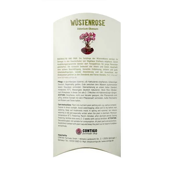 MyBaobab - Végétaux d´Ailleurs MyBaobab - Végétaux d´Ailleurs Baobab Chacal Setzling - Wüstenrose – Produktbild 2 von 4