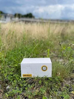 SNYCE SNYCE WILD TISSUE in the Box - das Outdoor Küchenpapier – Produktbild 1 von 1