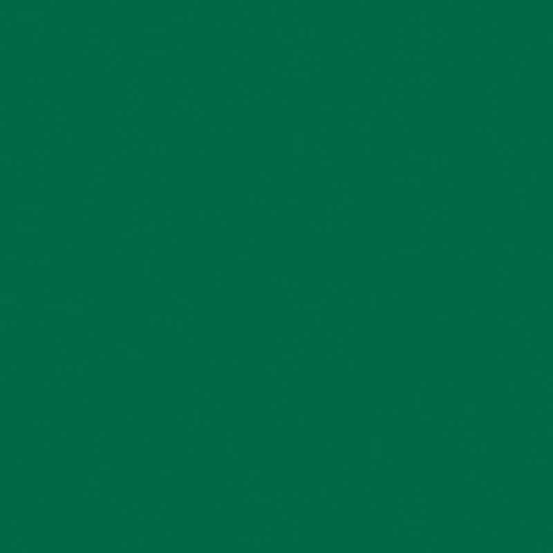 folia folia Fotokarton A4 300g/m² 50 Blatt Tannengrün, Tannengrün, – Produktbild 1 von 1