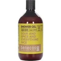 Benecos BenecosBIO Sour and Spice and Everything Nice Duschgel – Produktbild 1 von 1