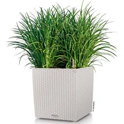 Lechuza® Lechuza® 'Cube Cottage 40', lichtgrau, ca. 39 x 39 x H 40 cm – Produktbild 1 von 1