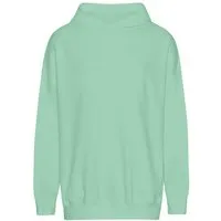 Neutral Neutral® Oversize Unisex Hoodie Kapuzenpullover Tiger Cotton von Neutral Baumwolle in Umstellung zu Bio Baumwolle, Dusty mint, – Produktbild 1 von 1