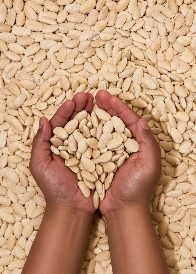 KoRo Blanchierte Mandelkerne 1 kg – Produktbild 4 von 5