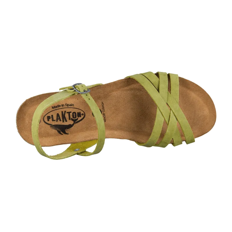 Plakton Plakton für Damen, Grün, – Produktbild 4 von 5
