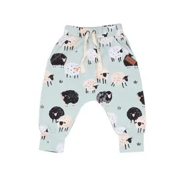 Walkiddy Kinder Jogginghose GOTS-zertifiziert aus Bio-Baumwolle, hellgrün mit Schaf-Print „Fluffy Sheeps“, elastischer Bund & Bündchen – Walkiddy – Produktbild 1 von 1